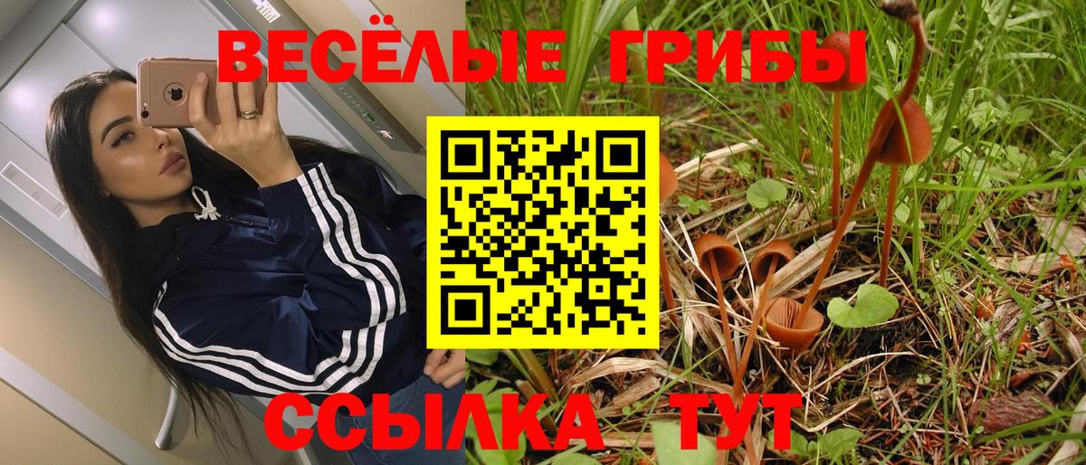 Галлюциногенные грибы Psilocybe Полевской