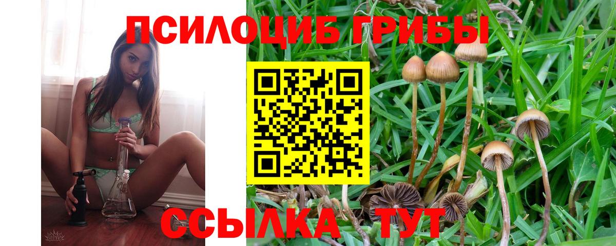 Полевской  Псилоцибиновые грибы мухоморы  наркошоп  Вход с VPN  Псилоцибиновые грибы прущие грибы 